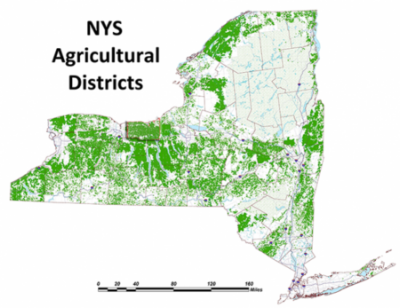 Soil Group Worksheet – SWG-Wayne County Soil & Water Conservation District